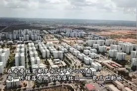 心相近丨走进“春天国度”，感受中非共同发展的加速度图片