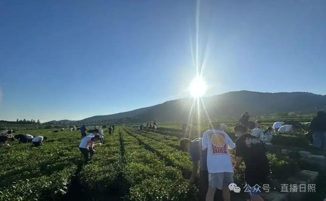 音乐节、星空露营、啤酒嘉年华......日照一大波文旅活动来袭！