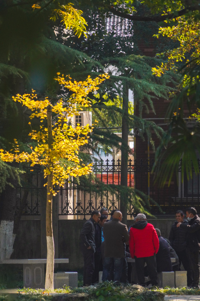 “美神”降临！太仓限定秋日美景，真的“杀”疯了！