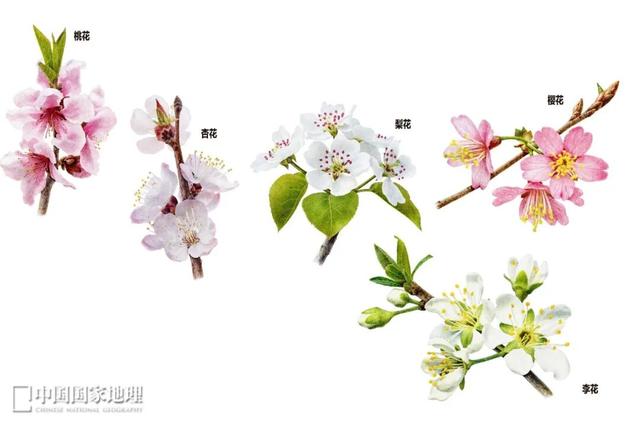 乡见中国·遇见隰县