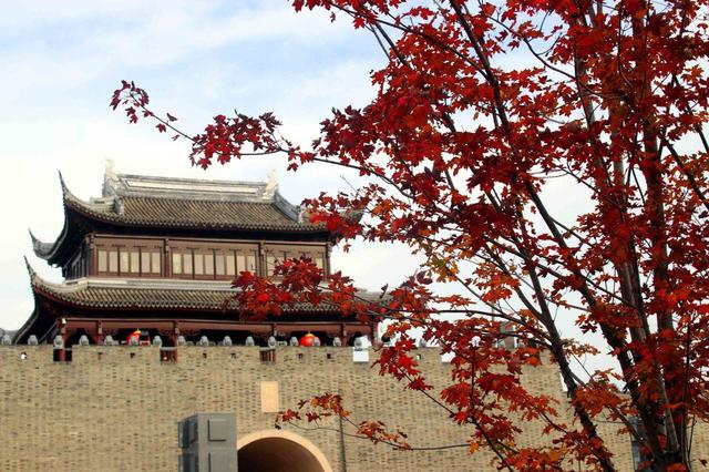 江苏苏州：初冬叶绯红，游客醉美景