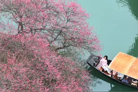 诗意中国丨农历正月#图片