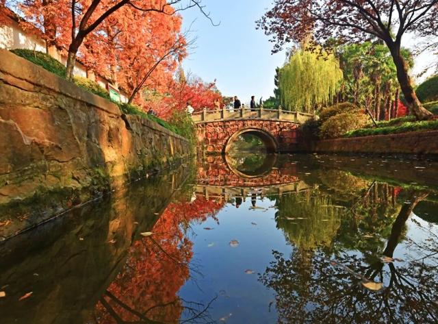 南通这里太美了！这个周末，不少人赶去打卡