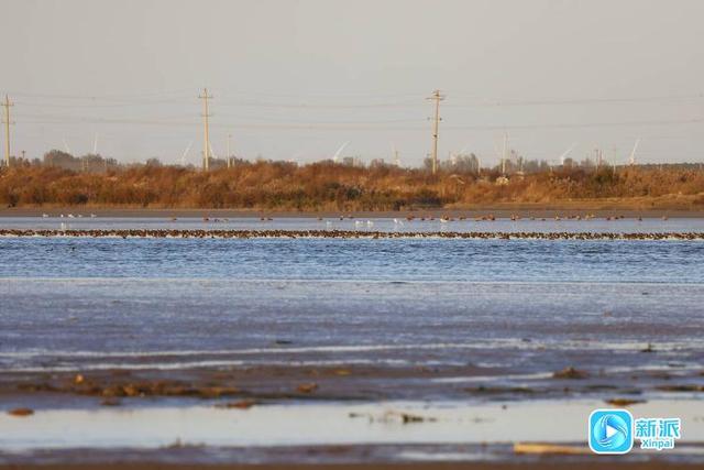 在冬日的潍坊海边，邂逅绝美画卷～