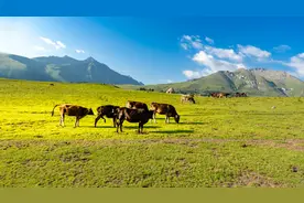 新疆维吾尔自治区新设和安县、和康县，由和田地区管辖图片