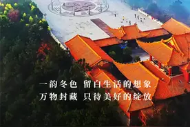 今日立冬，去迎接那一抹冬日暖阳吧~图片