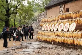 （组图）上千人“跟着团长打县城” 红嫂家乡旅游区人气火爆图片