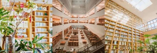 今日大雪 | 江西过冬最浪漫的事