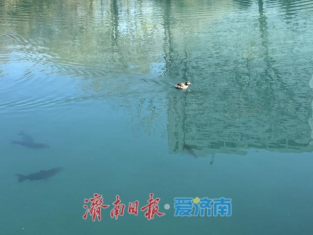 阳光洒满五龙潭 初冬景致引市民打卡休闲