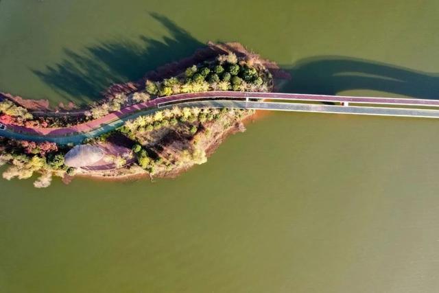 @0731，一组绿心秋色卡，请查收！