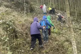 成都“打野”流行，百元一斤药材被游客“打野”损毁图片