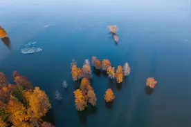 【清风黄山㉜】青年说“清廉”图片