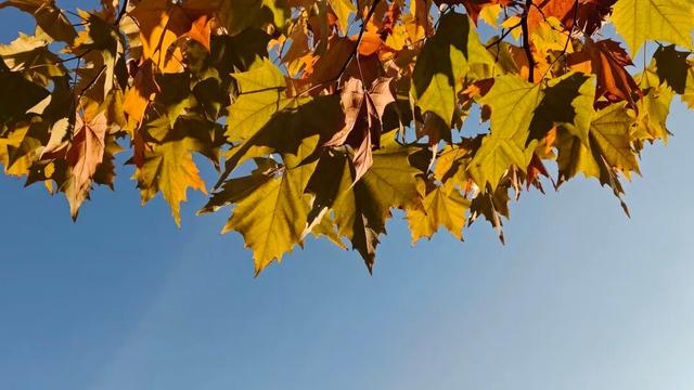 初冬，来大龙开发区遇见“限定暖阳”