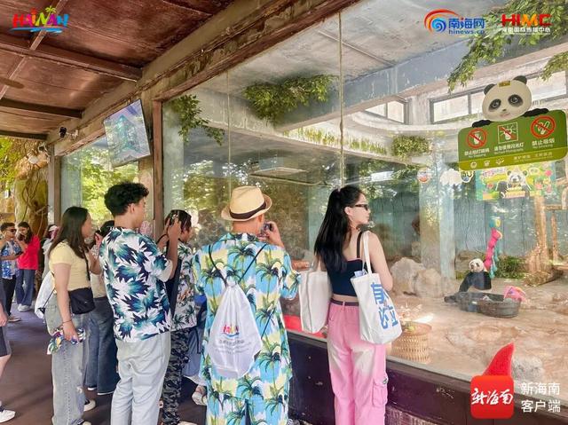 全国TOP10！看海口如何“圈粉”海外