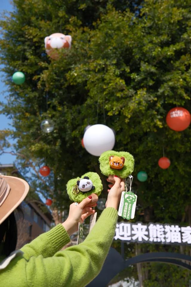 欢迎来到熊猫的家！保姆级攻略请收好！