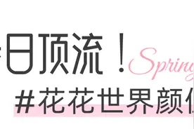 一起走花路吧！“烟台春日赏花指南”来了图片