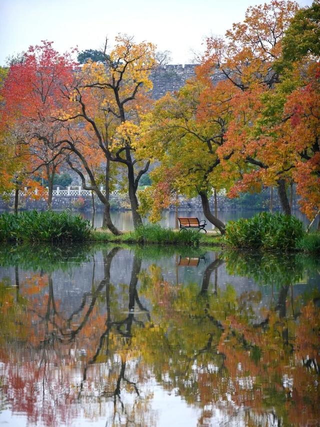 南京这里，美到刷屏了！