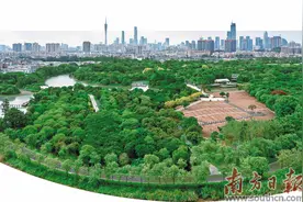 广州入户条件拟放宽图片