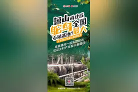 千余只鸵鸟在河南安家？平顶山鲁山建成大型鸵鸟养殖基地图片