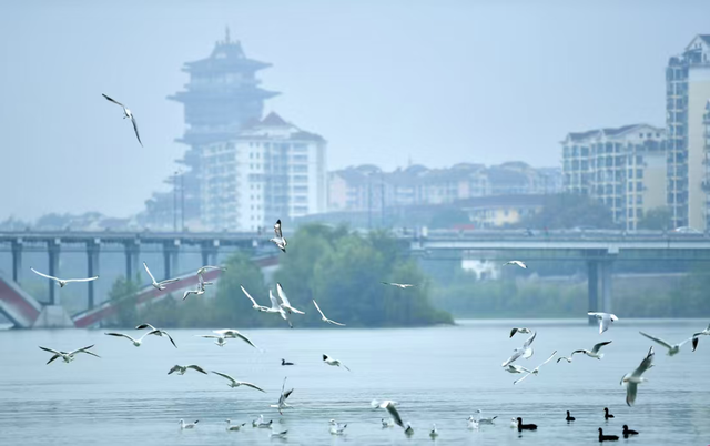 绵阳推出冬季文旅87项活动 在这里查阅冬天温暖地图