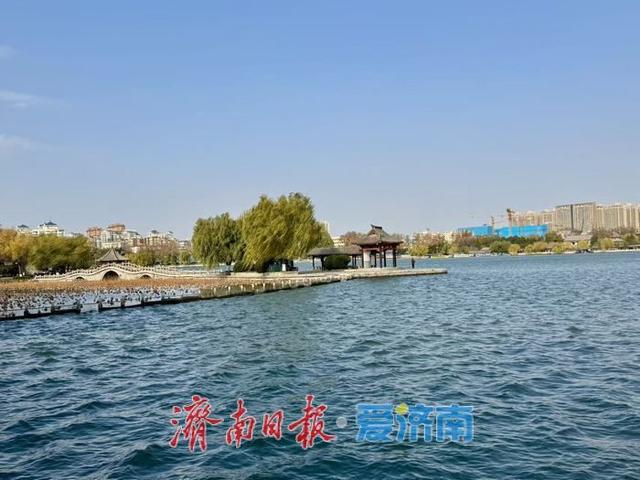 一年四季 泉在济南丨冬日大明湖静谧雅致 湖光冬韵醉泉城
