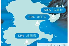 又到一年“追泪”季 “追泪指南”来啦图片