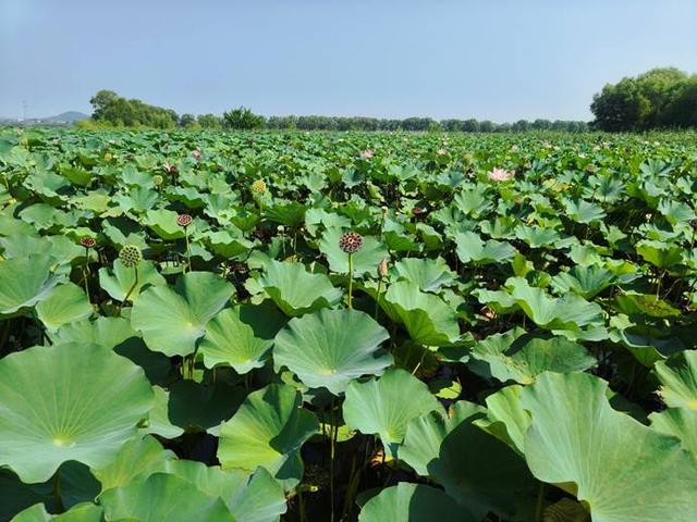 大连伊甸水利风景区成功入选省级水利风景区