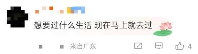 “真的建议不要过临时的生活”上热搜，网友：天啊，这不就是我吗？