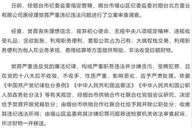 套取公款占为己有！烟台北方置业有限公司原经理樊蓉被开除党籍和公职图片