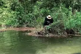 突然爆火的哀牢山是什么来头？当地人：不该去的地方不要去图片