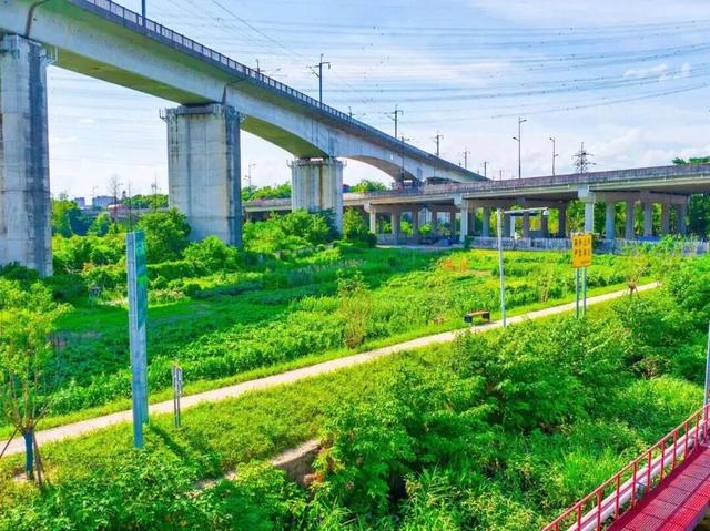 15.6公里！大运河余杭段景观带完工！