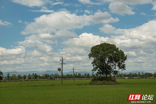 岁暖时刻丨寻访"爱莲说"的诞生地：秋色浸染的道县楼田村