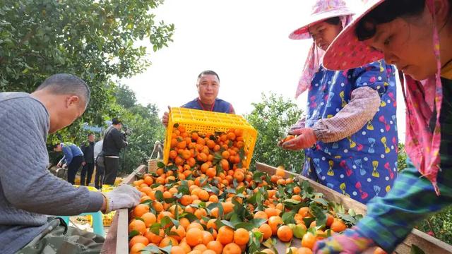 八桂秋韵！举起相机，把广西秋色拍成旅行基金！