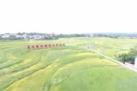 四川出台高标准农田建设管理条例，明年3月起施行图片