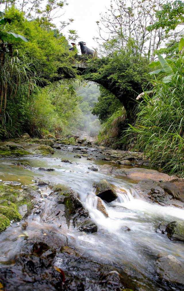 周末去“村”游！这个村人少景美，99%的福安人都不晓得~