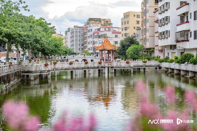 家门口的“新佛山”丨打卡千年状元村，沾一份“上岸”文气