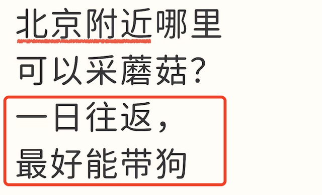 假期新点子，进山捡菌子