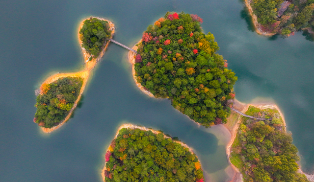 我在这里，等你→