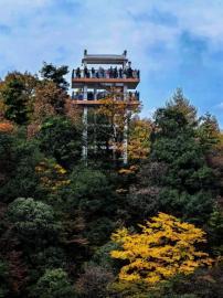 为有秋色赋人间