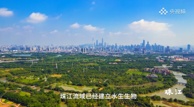 《珠江》里，藏着这么多广州海珠“宝藏”