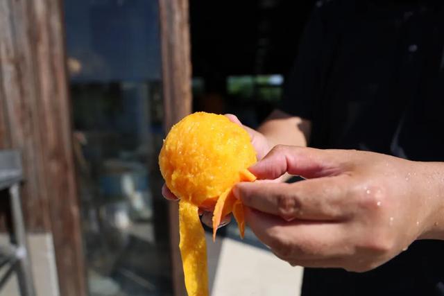 “水乡”村落、田园美食、诗意小院…打卡攻略来啦~