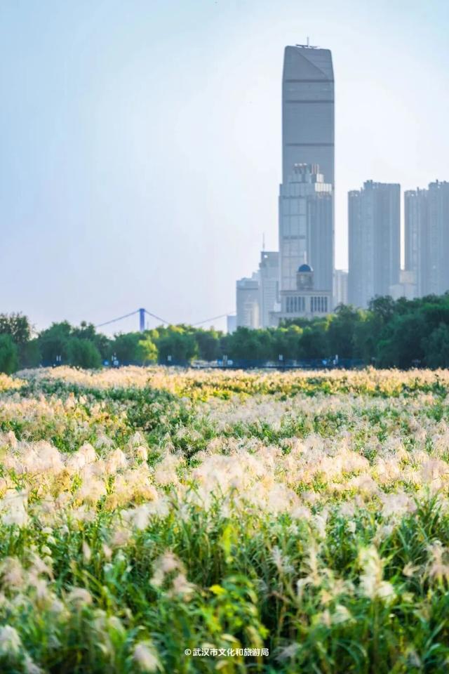 明天放晴！一口气3个好消息