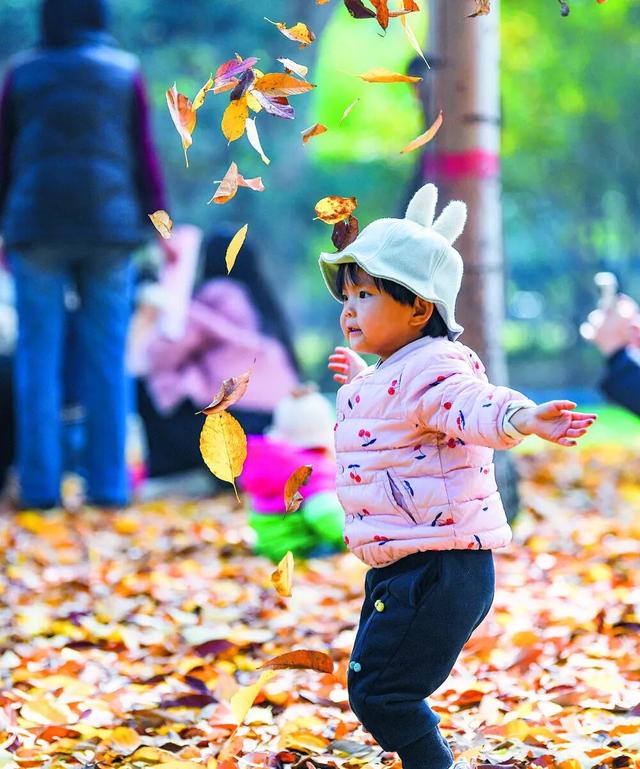 影像纪实 | 秋冬之交的石家庄，美得不像话！