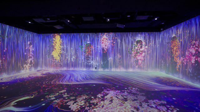 开启“云花”深度漫游之旅，中国斗南花卉展览馆试运营