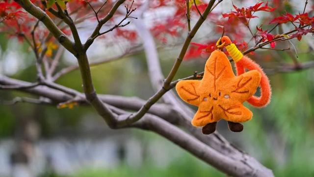 南京，你“叶”太可爱了！