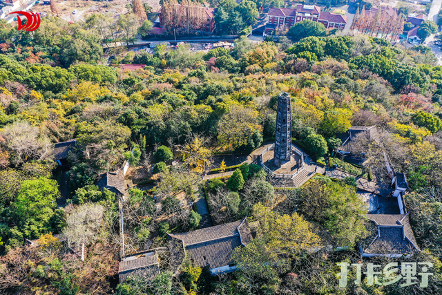 打卡乡野丨新年第一站，去上海离宇宙最近的村子，仰望星空，脚踏田野，开启元气新年