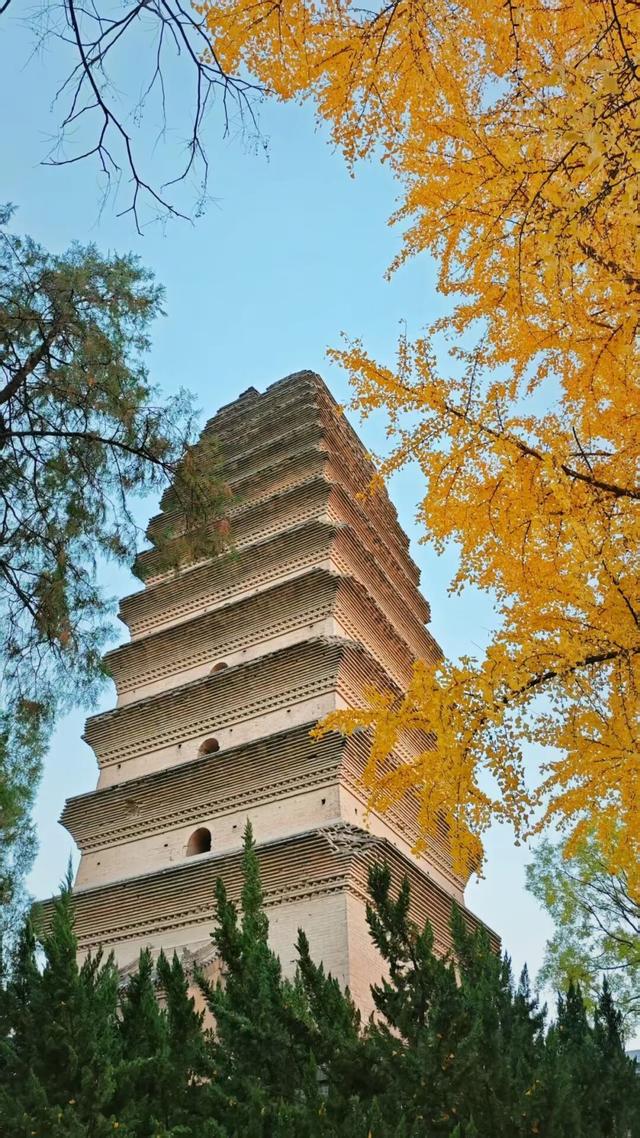 美绝！西安初冬的含金量还在上升！