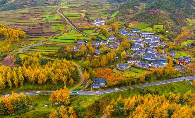 赏彩林不用去川西 凉山的“大兴安岭”，随手一拍就是大片！丨图集