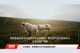 水羊股份：多品牌在小红书设旗舰店并推广视频封面