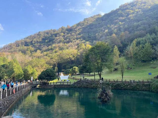 探访中国药用牡丹之乡凤凰山：“颜值”“价值”双丰收，“一季游”延伸至“全年赏”